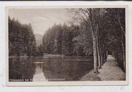 5948 SCHMALLENBERG - GRAFSCHAFT, Mühlenteich 1929 - Schmallenberg