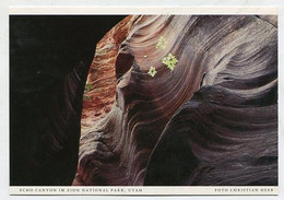AK 072627 USA - Utah - Zion National Park - Echo Canyon - Zion