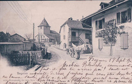 Begnins VD, Rue Animée (18.9.1902) - Begnins