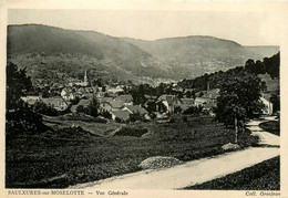 Saulxures Sur Moselotte * Route Rue Et Vue Générale Du Village - Saulxures Sur Moselotte