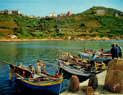 Cargèse * Vue Sur Le Port De Pêche * Pêcheurs Préparant Leurs Bateaux * Corse Du Sud 2A - Autres & Non Classés