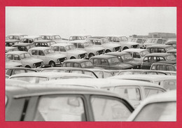 BELLE REPRODUCTION D'APRES UNE PHOTO ORIGINALE - PARC De RENAULT 4L Et R3 ENTREPRISE - R4 R3 R 4 R3 - Automobiles