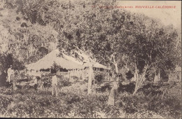CPA CP Colonies Françaises Nouvelle Calédonie - New Caledonia