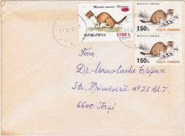 W3829- STOAT OVERPRINT STAMPS ON COVER, 2001, ROMANIA - Cartas & Documentos