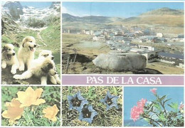 CPM  Andorre Pas De La Case - Andorra
