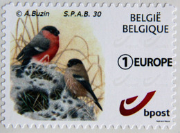 S.P.A.B. 30 BELG.+ PRIOR + EUROPE - 1985-.. Vögel (Buzin)