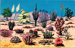 Cactus And Desert Flora Of The Great Southwest - Cactus