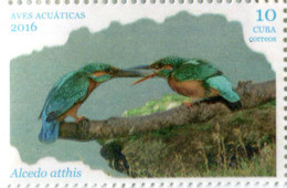 Lote CU2016-6, Cuba, 2016, Sello, Stamp, Aves Acuaticas, 6 V, Water Bird - Unclassified