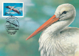 1991 SSSR 4 RUSSIA USSR FAUNA BIRDS CICONIA ZEBRA STAMPS FOR COLLECTION MAXIMUMCARD HINGED - Cartoline Maximum