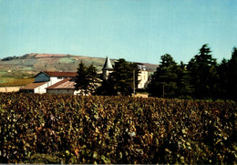 Julienas En Beaujolais La Cooperative Et Le Chateau Du Bois De La Salle         CPM Ou CPSM - Julienas