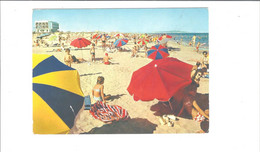 Delcampe - MARSEILLAN PLAGE  LA PLAGE              ****       A  SAISIR  *** - Marseillan