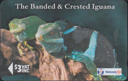 Fidschi - 97 - The Banded & Crested Iguana - 19FJB - Fiji