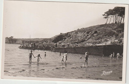 Finistère : MOELAN  Sur  Mer -  Kerfany Les  Pins : Vue  L '  Embarcadère  , Morais - Moëlan-sur-Mer