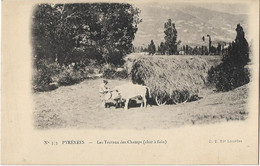 Agriculture   - Pyrenees -  Les Travaux  Des Champs  - Char A Foin - Dt Lourdes - Attelages