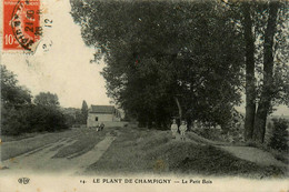 Champigny Sur Marne * Le Plant * Le Petit Bois * Chemin Route - Champigny Sur Marne