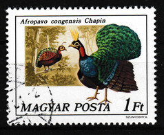 1977 Ungarn - Magyar, Y&T: 2550°, Kongopfau - Afropavo Congensis Chapin - Pavoni