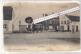 CAPPELLEN-KAPELLEN "DEN HOORN-DILIGENCE-CAFE"HOELEN N°520 UITGIFTE 1904 TYPE 3 - Kapellen