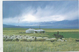 CPM Landscape Mongolie - Mongolie