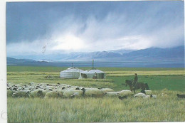 CPM Landscape Mongolie - Mongolia