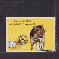 [Carte Maximum / Maximum Card /  Maximumkarte] Hong Kong 2021 | 100th Anniversary Of SPCA (Hong Kong) - Hamster - Maximum Cards