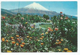 EL VOLCAN COTOPAXI.- LATACUNGA.- ( ECUADOR ) - Equateur