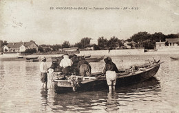 Andernos Les Bains - Les Travaux Ostréicoles - Ostréiculture Huîtres - Arcachon - Andernos-les-Bains