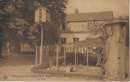 Helmet.   -   Pensionnat Des Dames De La Sainte-Famille   -   La Ferme - Schaerbeek - Schaarbeek