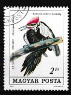 1985 Ungarn - Magyar MI: 3761° / Y&T: 2985°, Dryocopus Pileatus - Helmspecht - Specht- & Bartvögel