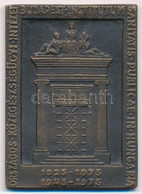 1975. "Országos Közegészségügyi Intézet Budapest 1925-1975, 1945-1975" Egyoldalas Bronz Plakett (67x48mm) T:1- - Non Classés