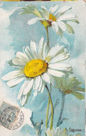 CPA - FLEURS - Illustration De Marguerites Blanches - Timbre Taxe - Blumen