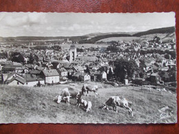 25 - PONTARLIER - Les Pâturages Et La Ville. (Vue Générale - Vaches) CPSM - Pontarlier