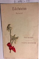 CP, Herbier, Edelweiss Naturel, Fleur Des Alpes, Porte Bonheur, Marque Th.L Déposée - Fleurs