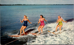 Water Skiing It's Not As Easy As It Looks - Sci Nautico