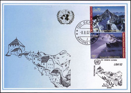UNO GENF 2002 Mi-Nr. 331 Blaue Karte - Blue Card  Mit Erinnerungsstempel VADUZ - Brieven En Documenten