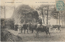 Agriculture -   Normandie -  La  Vie  Normande  -   La  Vachere - Carte Ecrite De Bayeux - Attelages