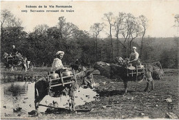 Agriculture -   Normandie -   Scenes De La Vie Normande  -  Servantes  Revenant De Traire - Attelages