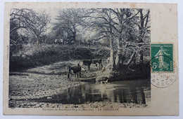 Environs De Beaumont Hague, La Chesnaye - Beaumont