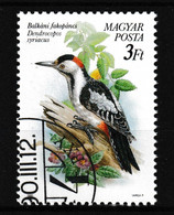 1990 Ungarn- Magyar, Y&T: 3257°,  Blutspecht - Dendrocopos Syriacus - Spechten En Klimvogels