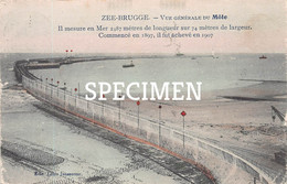 Vue Générale Du Môle - Zeebrugge - Zeebrugge