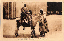 17 - Charente Maritime - Ile De Ré - Un Ane En Culotte (N9417) - Ile De Ré