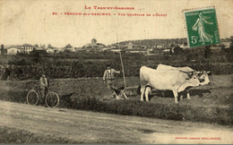 VERDUN SUR GARONNE VUE GENERALE DE L'OUEST ATTELAGE - Verdun Sur Garonne