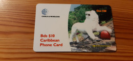 Phonecard Barbados 284CBDA - Barbados