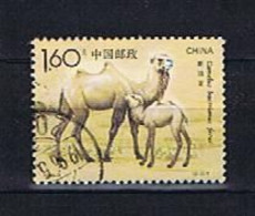 China 1993: Michel 2468 Used, Gestempelt (1) - Used Stamps