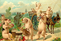 Cochons Humanisés * CPA Illustrateur * La Récolte Des Asperges Et Pommes De Terre * Pipe Tabac * Cochon Pig - Pigs
