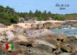 Guinea Iles De Los Soro New Postcard - Guinée
