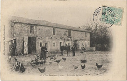 79    Melle - Environs  - Une Ferme En Poitou - Melle