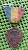 Medaille - Vechtmarsch , V.v.v. Bn De Vechtstreek , 30 Mei 1936 - 3 Foto's  For Condition.(Originalscan !!) - Other