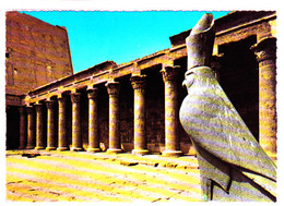 CP Egypte / Edfou / Cour Du Temple D'Horus / - Edfu