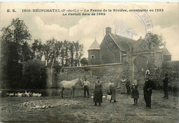 Neufchâteau * La Ferme De La Rivière * Mare Abreuvoir * Cachet Militaire 3ème Détachement Des Télégraphes - Other & Unclassified