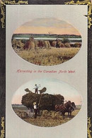 HARVESTING IN THE CANADIAN NORTH WEST              2 VIEWS - Autres & Non Classés